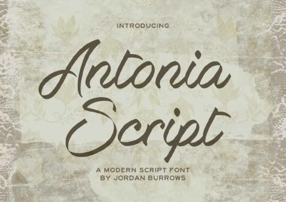 Antonia Script: A Web Designer’s Review of a Stylish Script Font