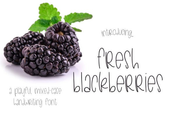 Fresh Blackberries: A Designer’s Real-World Review for Branding and Visual Projects