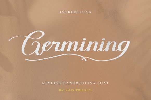 How Germining Brought Personality to Our Campaign Visuals