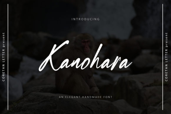 Kanohara: A Charming Script Font for Elegant Web Design