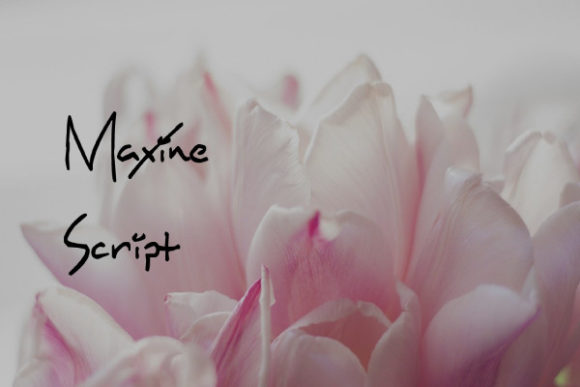 Maxine Script: The Elegant Typeface That Elevates Campaign Visuals