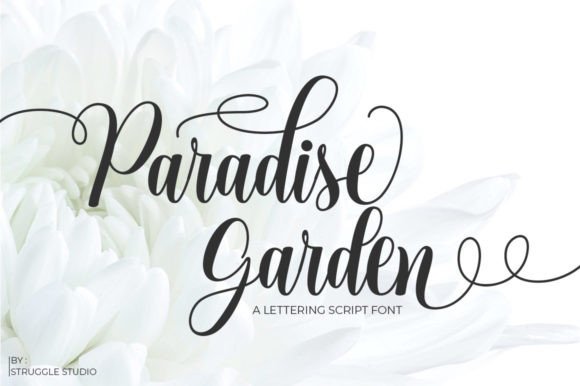 Paradise Garden: A Modern Script Font for Elegant Editorial Design