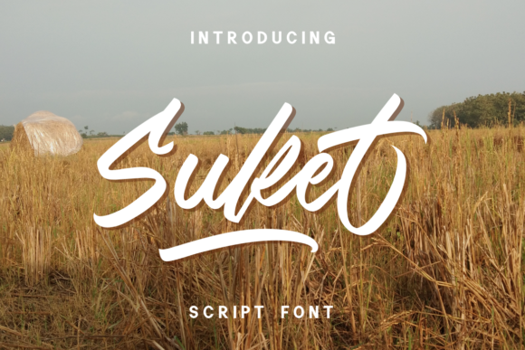 Suket: A Modern Script Font for Elegant Editorial Design